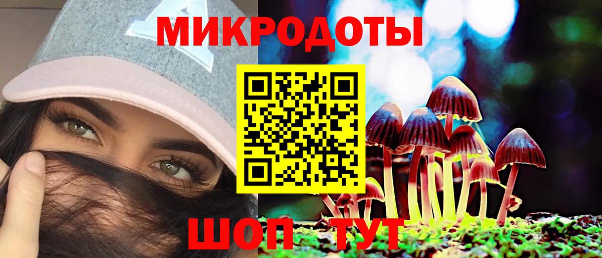 Псилоцибиновые грибы прущие грибы Тайшет