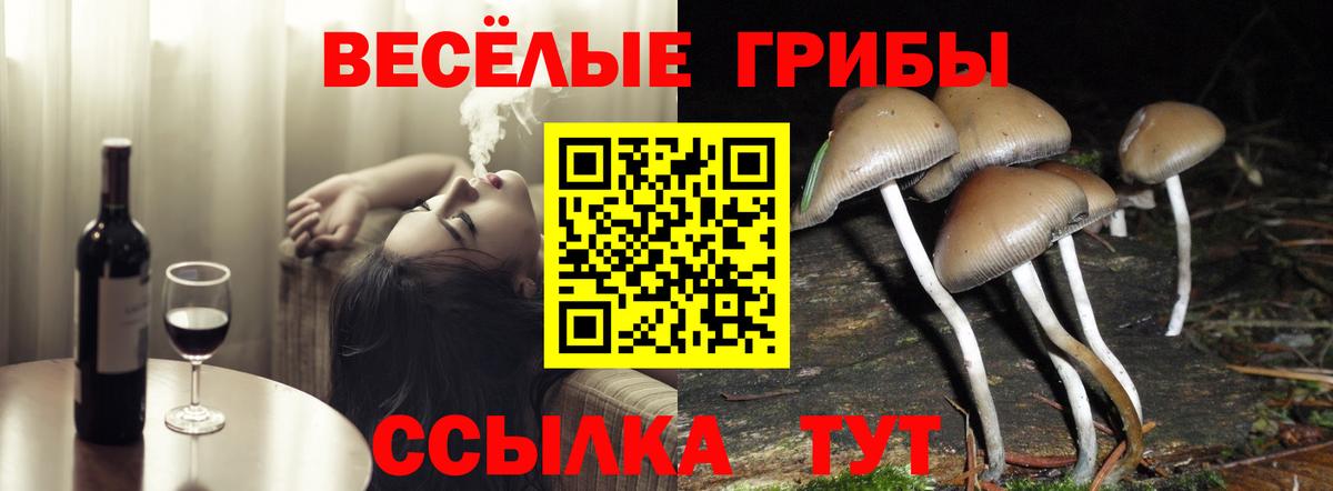 Псилоцибиновые грибы Magic Shrooms  Вход с VPN  Тайшет  Псилоцибиновые грибы мухоморы 